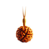 Rudraksha Suggestion